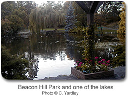 Beacon Hill Park and one of the lakes